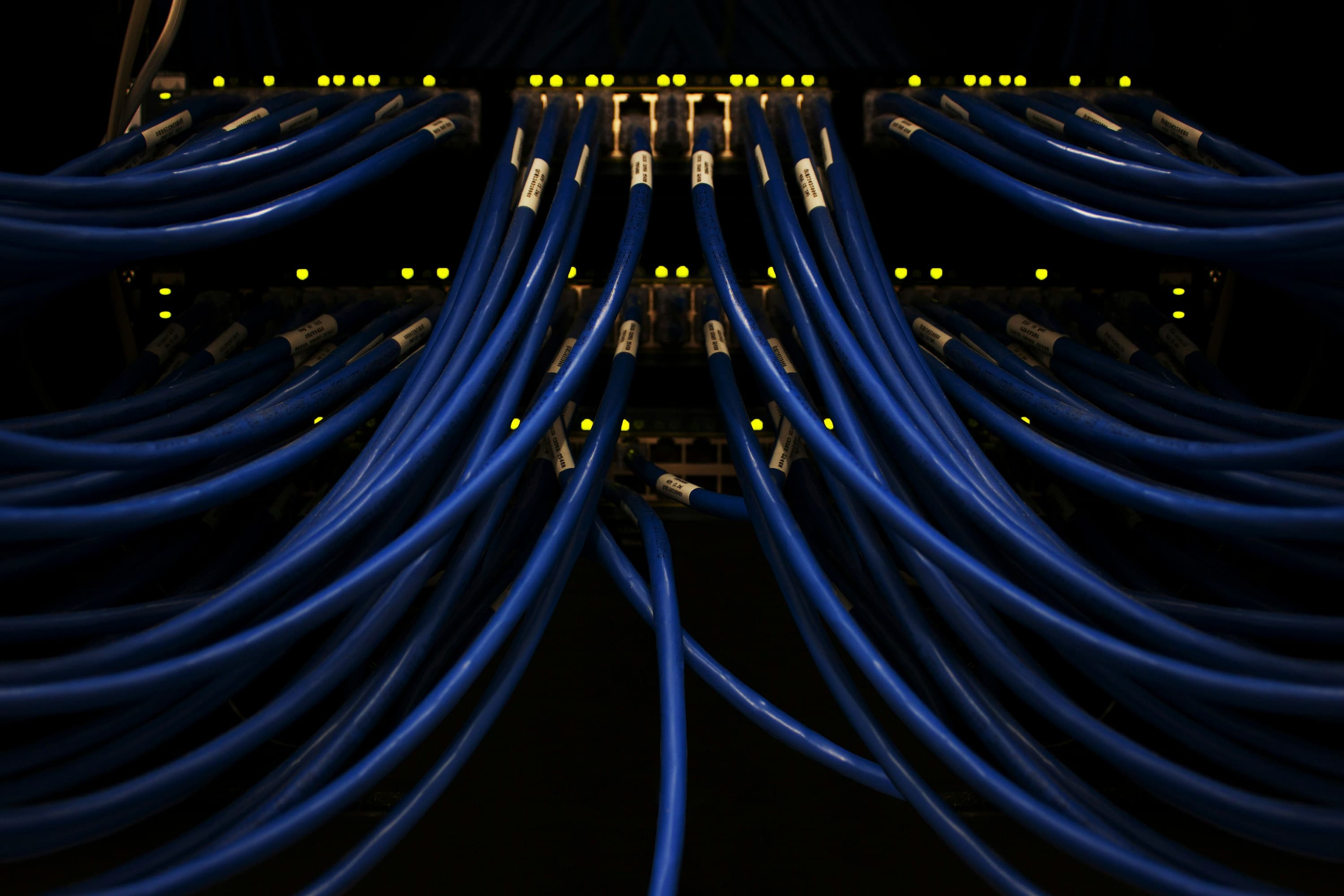 Cavi di rete blu etichettati, ordinati su un patch panel acceso