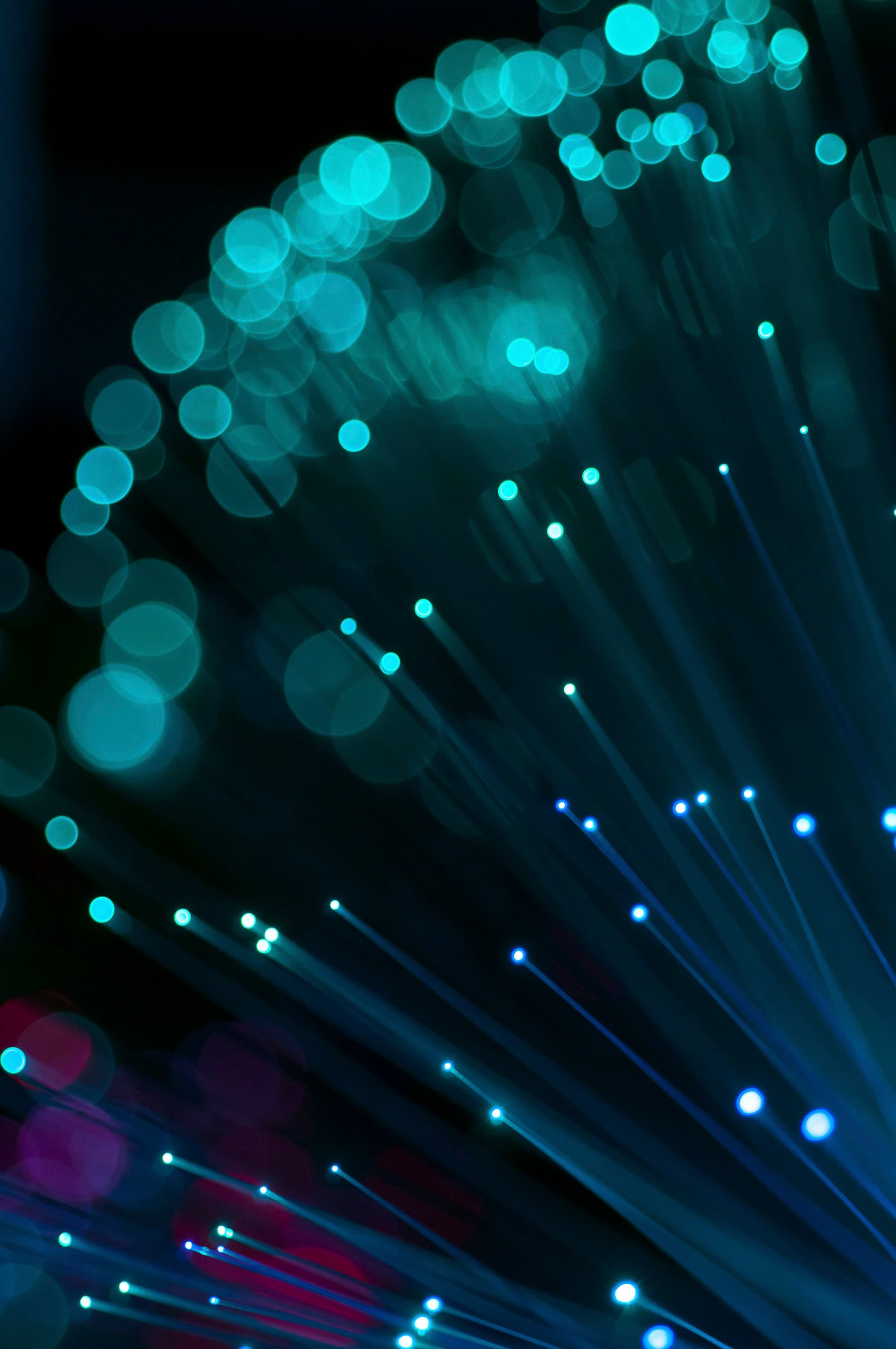 Fasci di fibre ottiche illuminate su fondo scuro