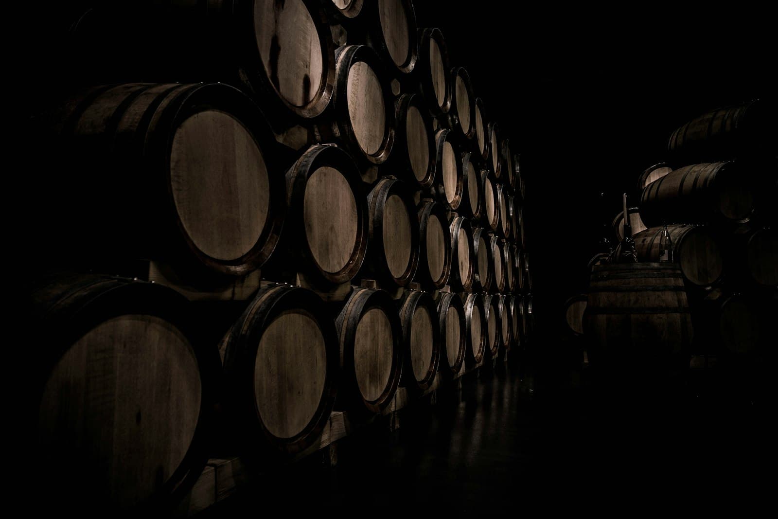 Barricaia di una cantina vinicola con botti di rovere allineate per l'invecchiamento del vino.